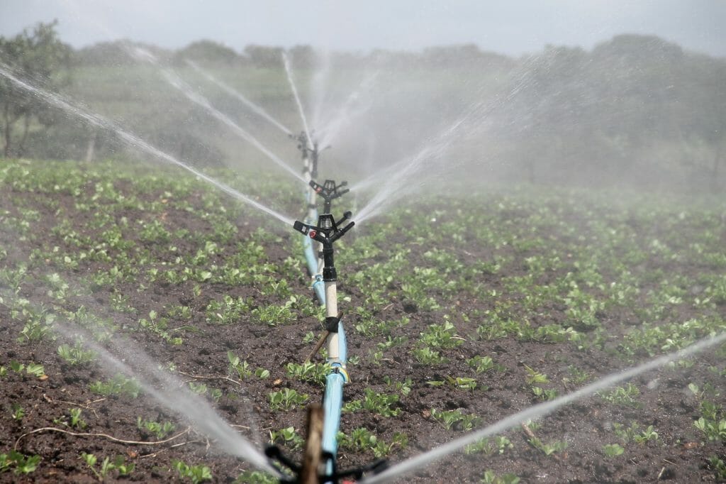 water reuse through irrigation